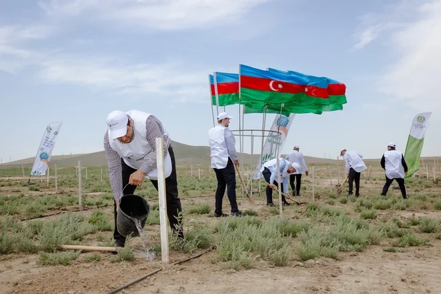 BOKT "International" ASC Ulu Öndərin xatirəsinə həsr edilmiş ağacəkmə aksiyası keçirib - FOTO