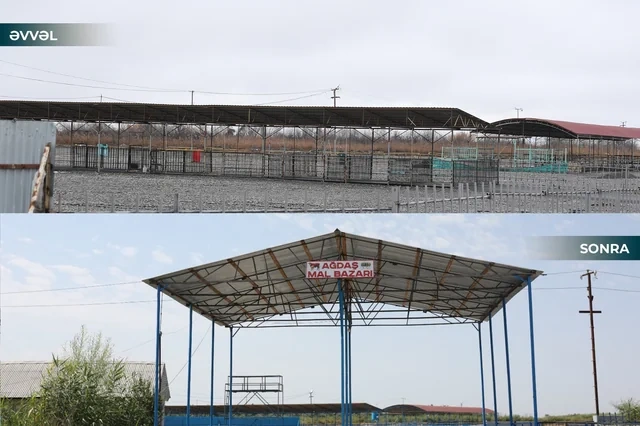 Ağdaş heyvan satışı bazarı fəaliyyətə başlayıb - FOTO - VİDEO