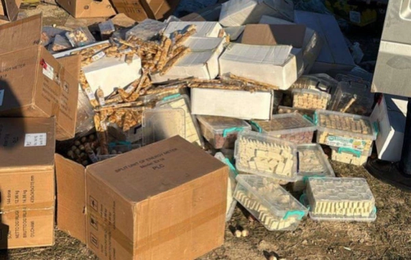 Azərbaycana gətirilən qurudulmuş yemiş və halvalarda göbələk kifi aşkarlanıb