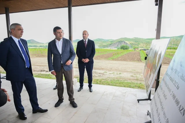 Xocalıda salınmış intensiv bağçılıq təsərrüfatları ilə tanışlıq keçirilib