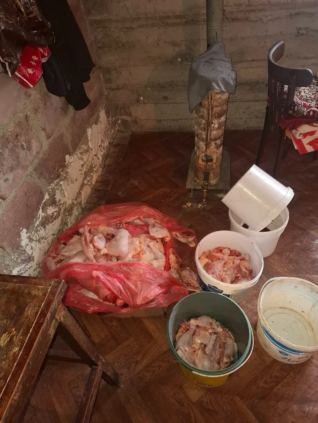 Gəncədə antisanitar şəraitdə dönər əti hazırlayan emal sexi aşkarlandı - Foto
