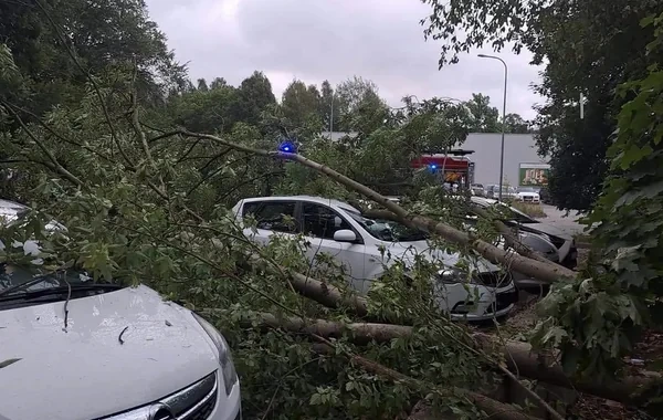 Belarusda 600-dən çox yaşayış məntəqəsində elektrik enerjisi təchizatı pozulub