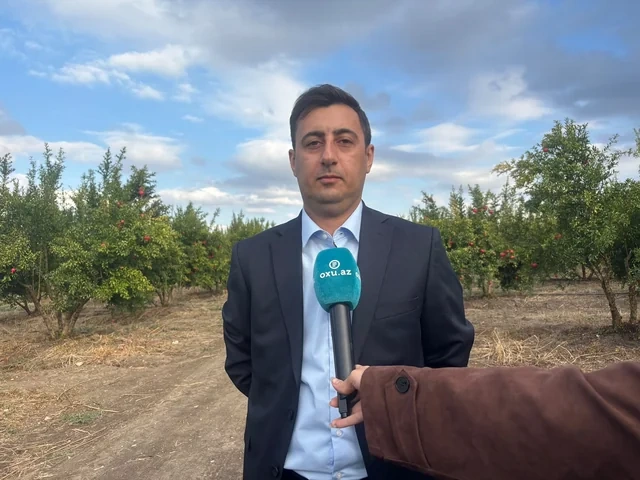 Ağdam narı Bolqarıstana ixrac ediləcək