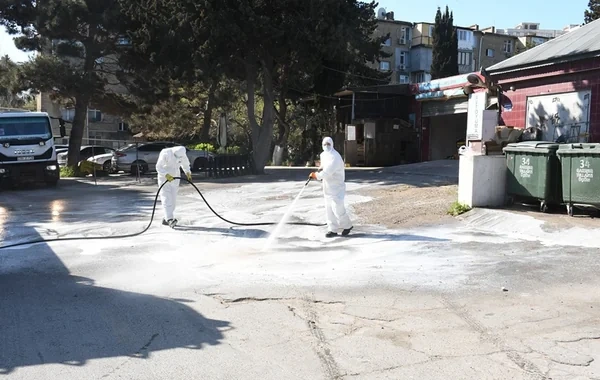 Bakıda yaz mövsümü ilə əlaqədar genişmiqyaslı daxili iməcilik keçirilib - FOTO