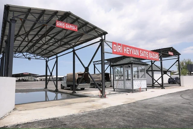 Məmmədli kəndində heyvan bazarının fəaliyyəti bərpa edilib - FOTO - VİDEO
