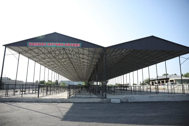 Daha bir ərazidə heyvan satışı bazarı fəaliyyətini bərpa edib - FOTO