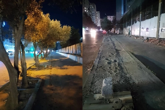 Xırdalanda ağacları kəsən vəzifəli şəxs CƏRİMƏLƏNİB