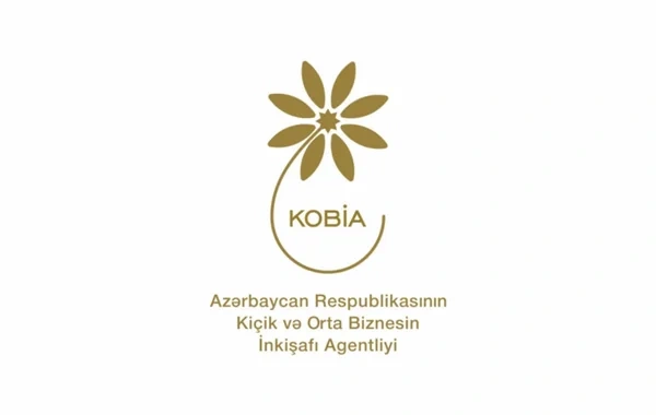 İnvestisiya portalında 147 biznes layihəsi investor gözləyir - FOTO