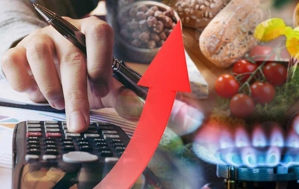Bahalaşan məhsulların və xidmətlərin siyahısı açıqlandı - Rəsmi rəqəmlər