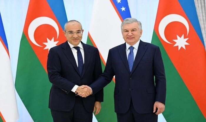Şövkət Mirziyayev Mikayıl Cabbarovu qəbul etdi
