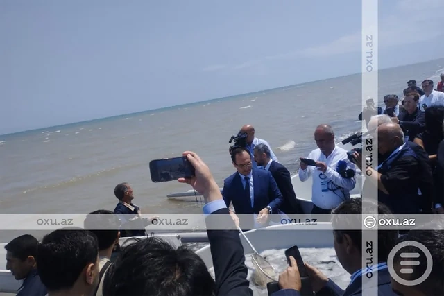 Neftçalada nərə balıqlarının təbiətə buraxılması aksiyası keçirilib - FOTO