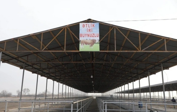 İmişlidə heyvan bazarı açılıb