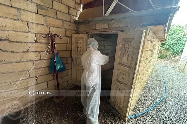 AQTA cənub bölgəsində quş tələfatı ilə bağlı araşdırmaya başladı - FOTO