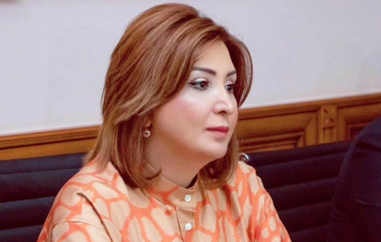 Etiraf etməliyik ki, bu prosesə gecikmişik - Aynur Camalqızı
