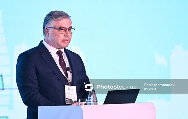 ANAMA rəsmisi: "Son 35 ildə 3500 nəfərdən çox mina qurbanı olub"