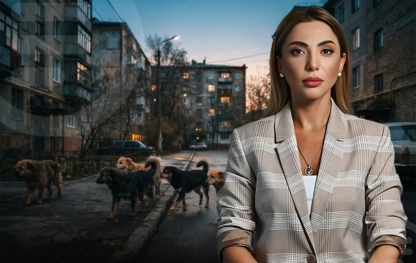 Bu itlərin yiyəsi niyə yoxdur?