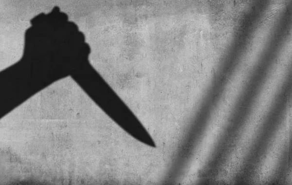78 yaşlı baba nəvəsinin sevgilisini çarpayının altında tutdu, 30 bıçaq zərbəsi vurdu