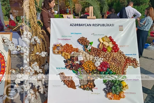 Ucarda Aqrar Biznes və 1-ci Çəltik festivalı keçirilib - Foto/Video