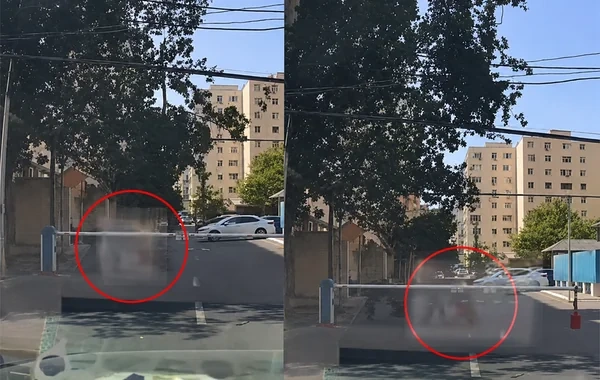 Bakıda sınan ağac budağı qadının üzərinə düşdü - ANBAAN VİDEO
