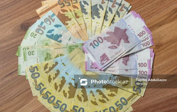 Əlilliyə görə pensiya alanların sayı AÇIQLANDI