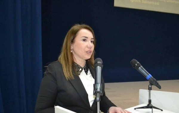 Mingəçevir Təhsil Sektorunun rəhbəri vəzifəsindən azad edildi