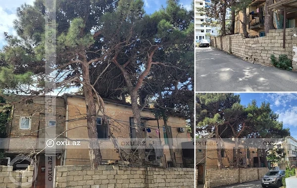 Nizami rayonunda budanmayan ağaclar sakinlərin həyatına təhlükə yaradır - Foto
