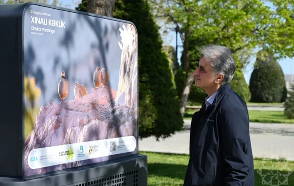 Bakıda "Azərbaycan təbiətinin izi ilə" adlı sərgi keçirilir - FOTO