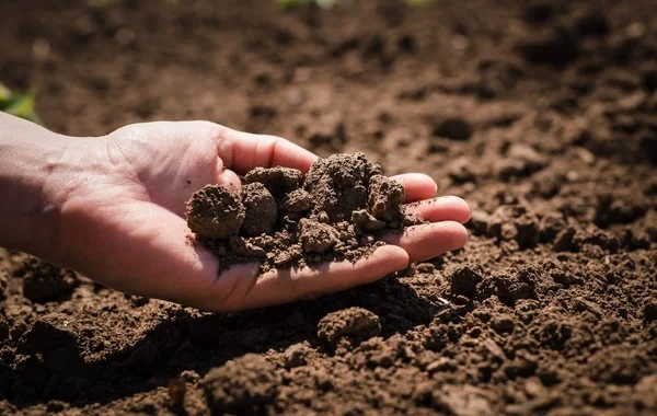 Torpaqların konsolidasiyasına ən çox ehtiyac olan bölgə açıqlandı