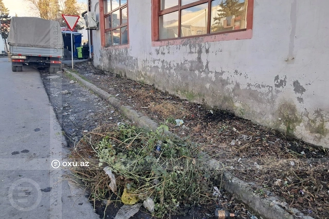 Zaqatalanın mərkəzindəki antisanitar vəziyyətə dair RƏSMİ AÇIQLAMA