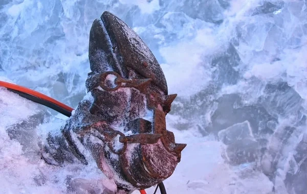 Rusiyada 10 alpinist itkin düşdü