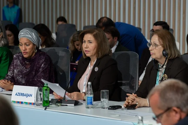 WUF13 yüksəksəviyyəli sessiyalar və rekord sayda iştirakçı ilə uğurla başa çatıb - FOTO