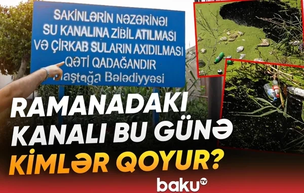 Sabunçu sakinlərinin şikayəti: Baxımsız kanal və sahibsiz küçə itləri - VİDEO