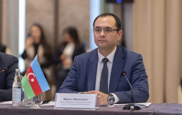 Məcnun Məmmədov şöbə müdiri təyin etdi - FOTO