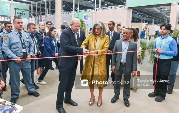 WUF13: "Urban Expo" sərgisi rəsmən fəaliyyətə başladı - FOTO