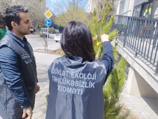 Nərimanov rayonunda qurumuş ağacların yerinə yeniləri əkilib - FOTO