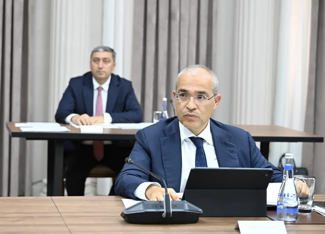 İqtisadi Şuranın növbəti iclası keçirilib - Foto
