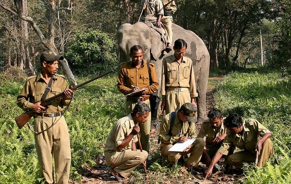 Hindistan sakini naməlum yırtıcının qurbanı oldu