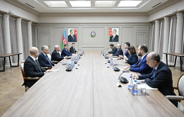 Əli Əsədov Türkiyənin ətraf mühit, şəhərsalma və iqlim dəyişikliyi naziri ilə görüşüb