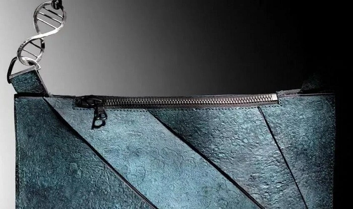 Dinozavr dərisindən hazırlanmış çanta hərraca çıxarıldı - Foto