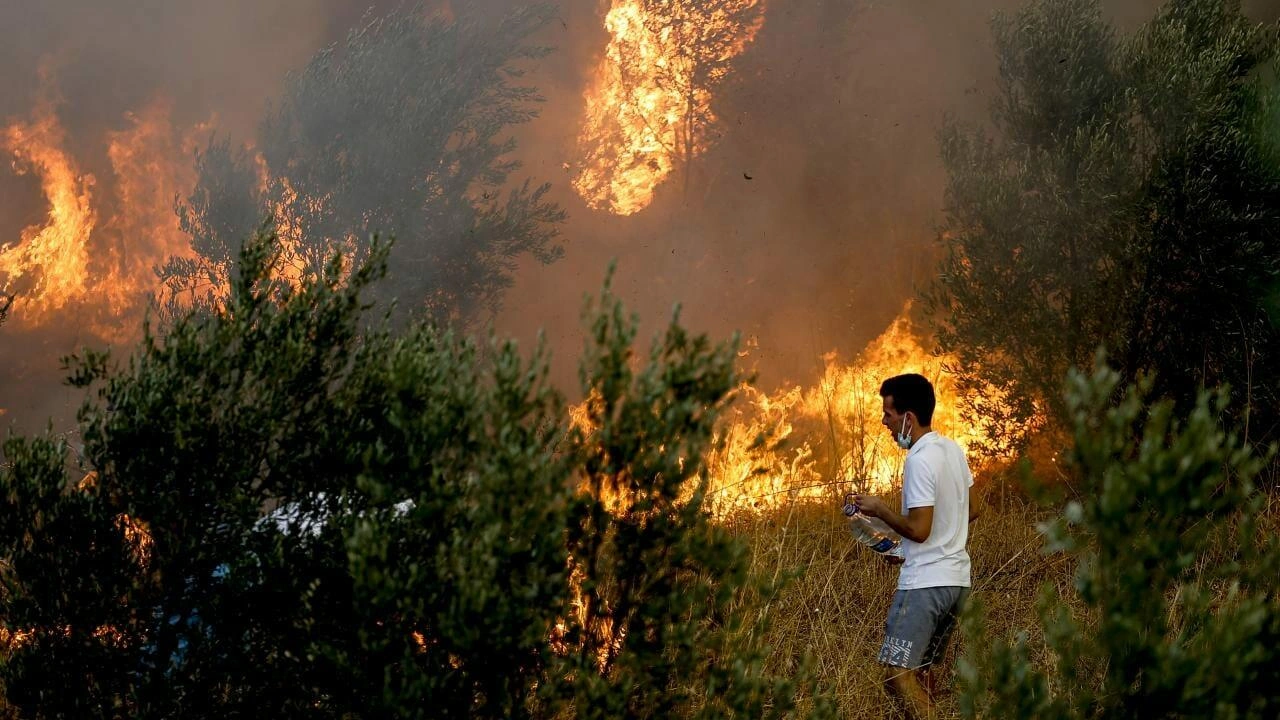 Türkiyədə meşə yanğınları ilə bağlı 6 nəfər həbs edilib