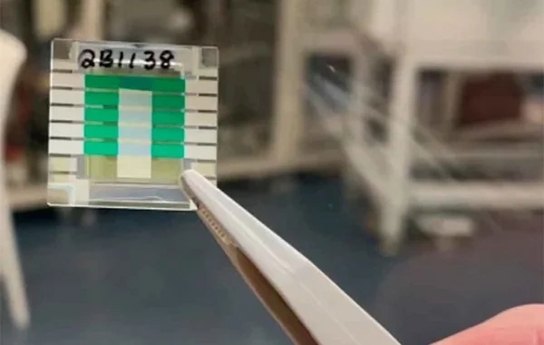 Dünyanın ilk eksperimental kvant batareyası Avstraliyada yaradıldı