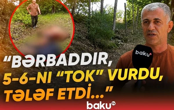 Lerikdə nasaz elektrik xətləri təhlükə saçır: Heyvanları cərəyan vurub - VİDEO