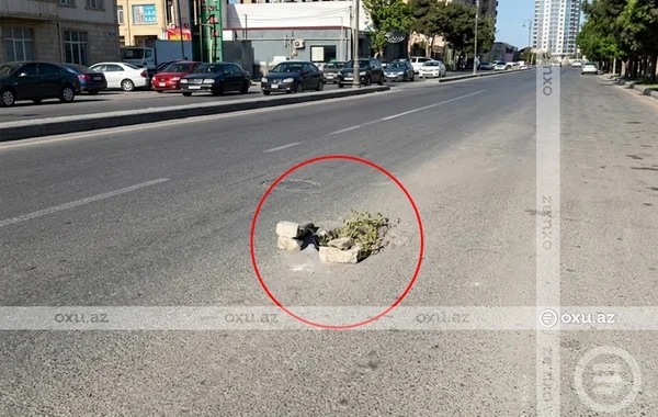 Xırdalanda qapaqsız lüklə bağlı şikayətə icra hakimiyyətindən reaksiya - VİDEO