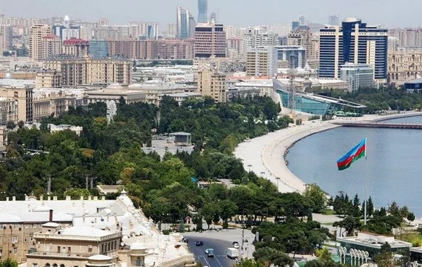 "Bakıda bir ağac yetişdirmək uşaq böyütməkdən daha çətindir" - Paytaxtımızı yaşıllaşdırmaq planları necə icra olunacaq? - Foto