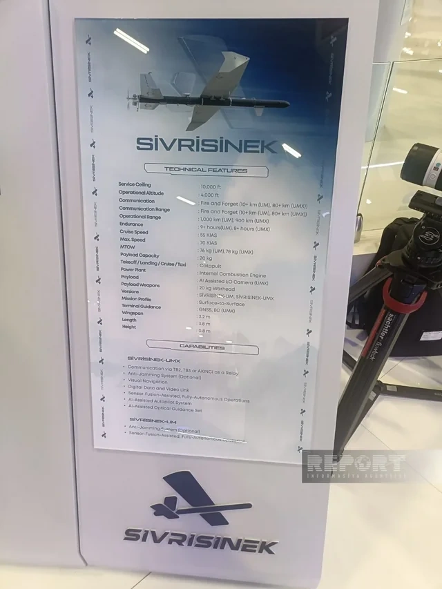 Azərbaycan Türkiyə ilə birlikdə "SİVRİSİNEK" adlı PUA istehsal edəcək - FOTO