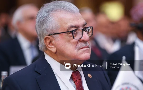 Şamil Ayrım: "Türkiyə Azərbaycanın istəmədiyi heç bir prosesin içində yer almır"