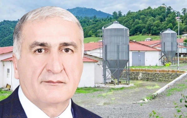 İqbal Məmmədovun "Lerik Broyler"i fəaliyyətini dayandırdı - Sabiq deputatın biznes imperiyası çökür?