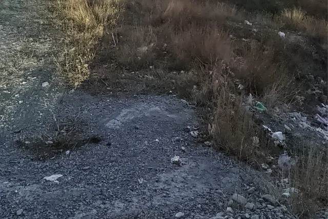 Şamaxıda yol kənarı zibilliyə çevrilib - FOTO