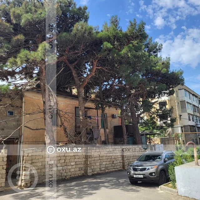 Nizami rayonunda budanmayan ağaclar sakinlərin həyatına təhlükə yaradır - Foto