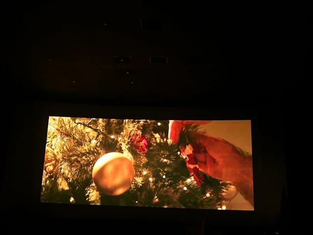 Qarabağın və Şərqi Zəngəzurun ilk beynəlxalq film festivalının açılışı olub - FOTO